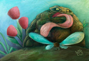 .:The toad and the butterfly:.