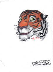 Cartoony Tiger Head