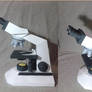 microscope papercraft free