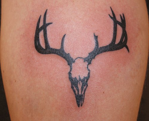 Deer Skull Tattoo by xxtattoojunkiexx on DeviantArt