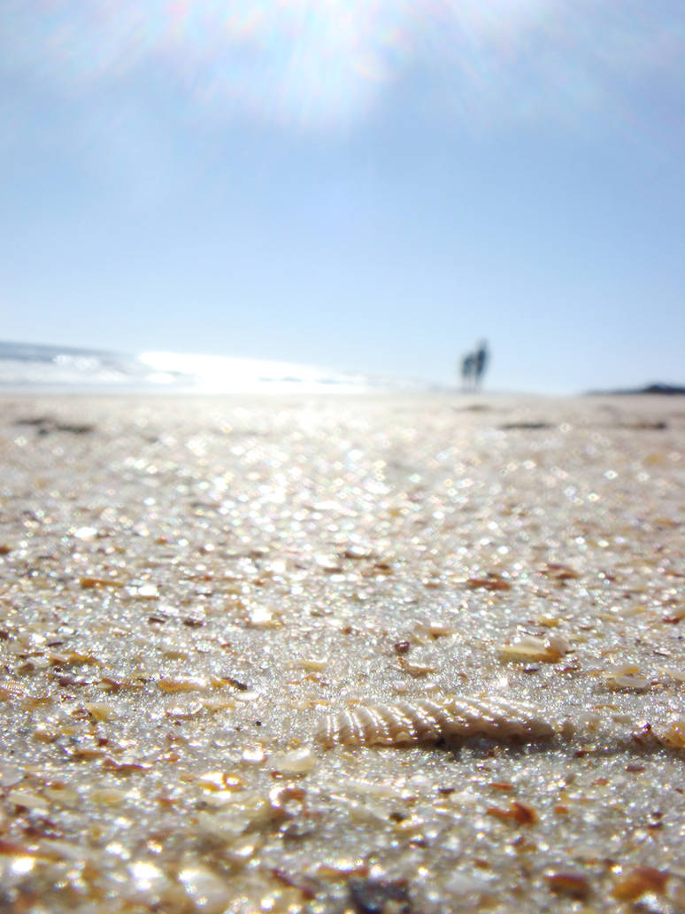 Shell Scene by TatsubeJones on DeviantArt