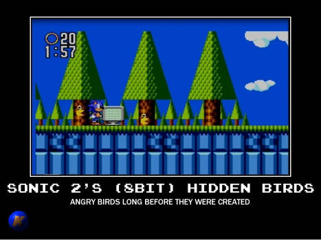 Sonic 2 Hidden Birds
