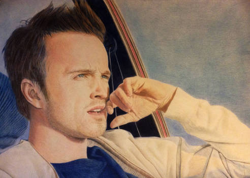 aaron paul (jesse pinkman) breaking bad