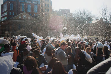 Pillow Fight Day - 5