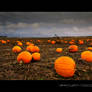 Pumpkins and thunderstorm on Halloween