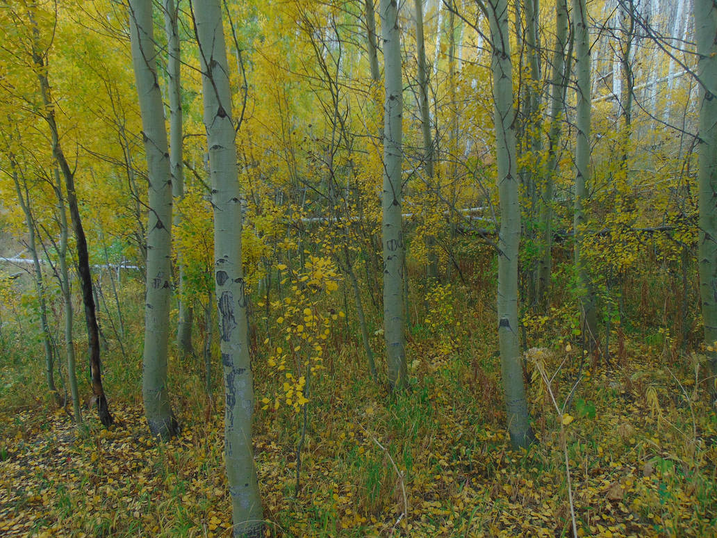 October Rust by MountainFanatic on DeviantArt