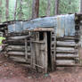 Cabin of Dead Dog Trail