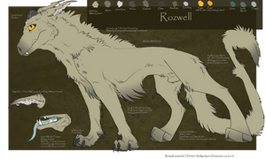 .:Rozwell 2010 Ref sheet:.