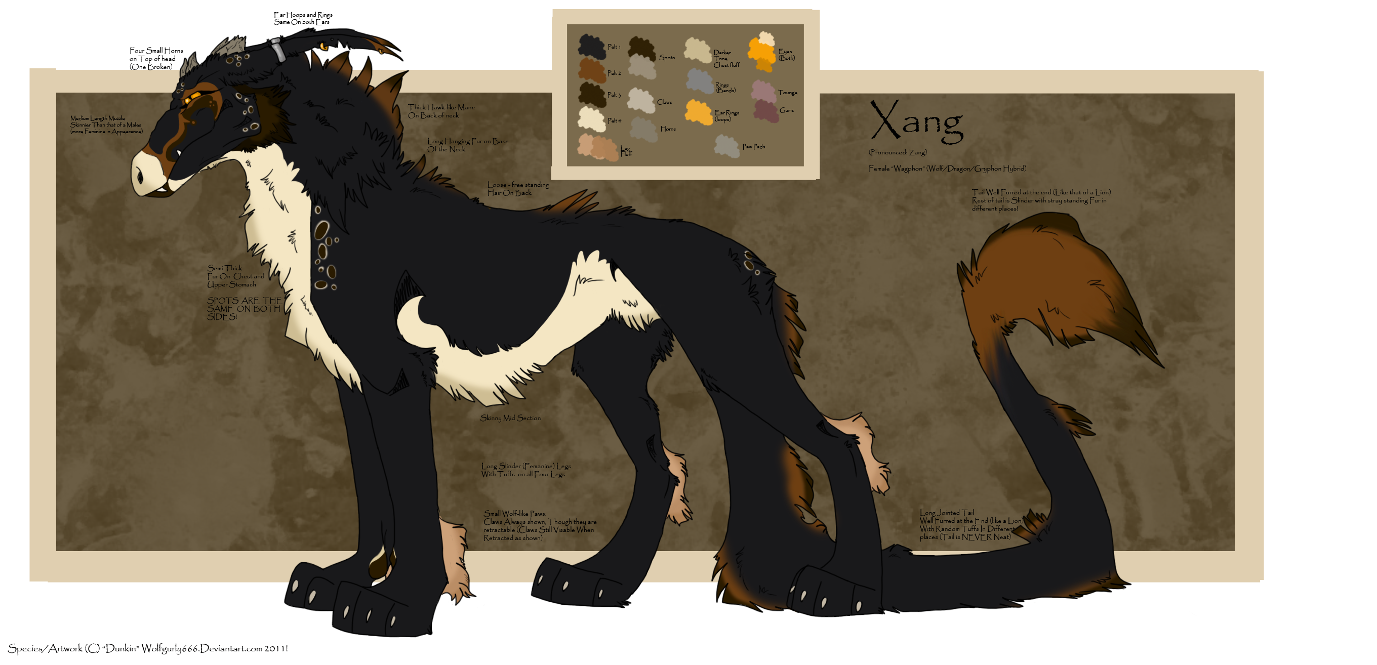 .: Xang: Ref sheet :.