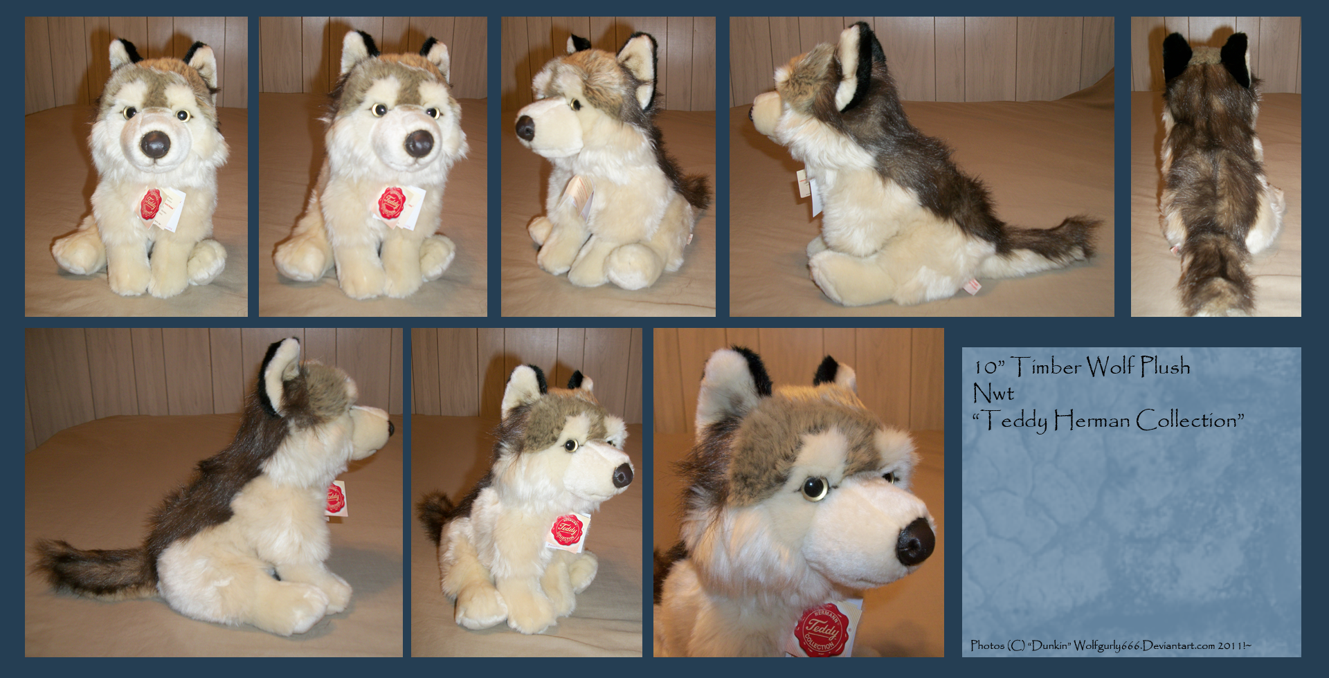 .: Timber Wolf plush :.