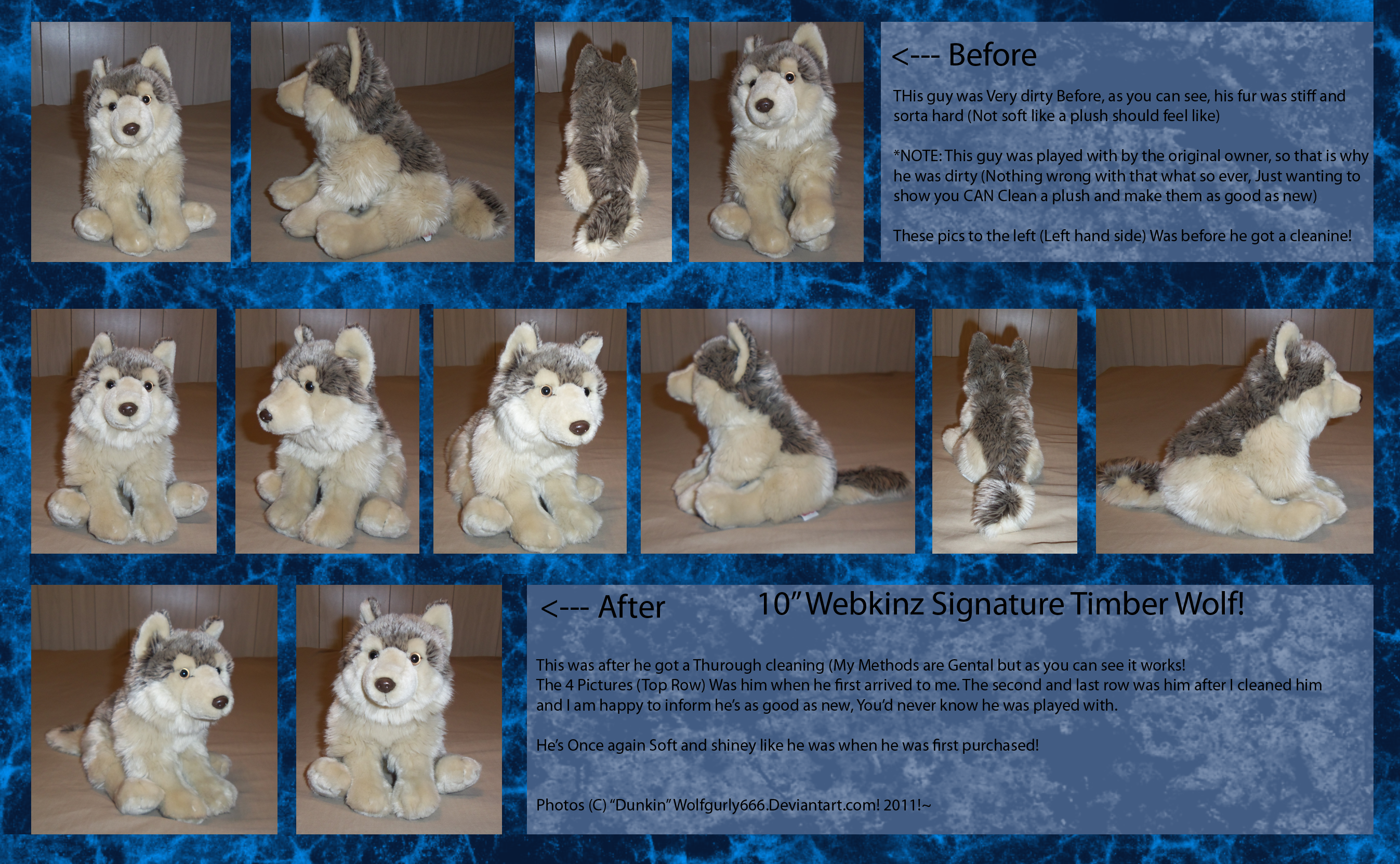 Webkinz top signature wolf