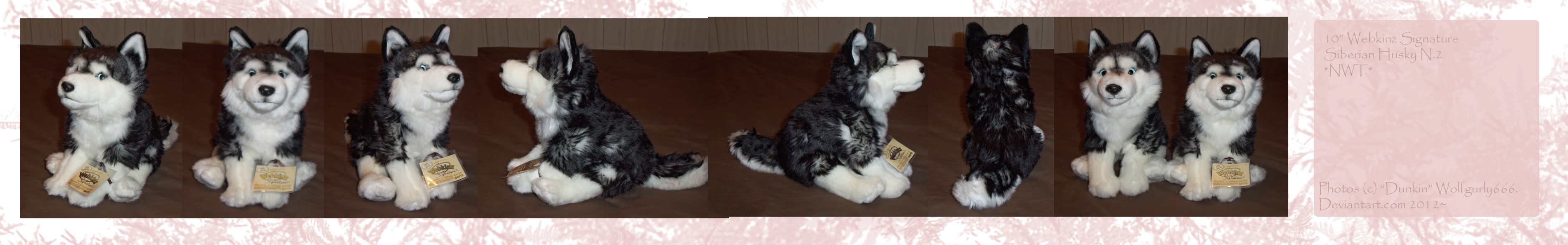 .: Webkinz Sig Husky N.2 :.