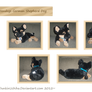 .: Nintendogs German Shepherd :.