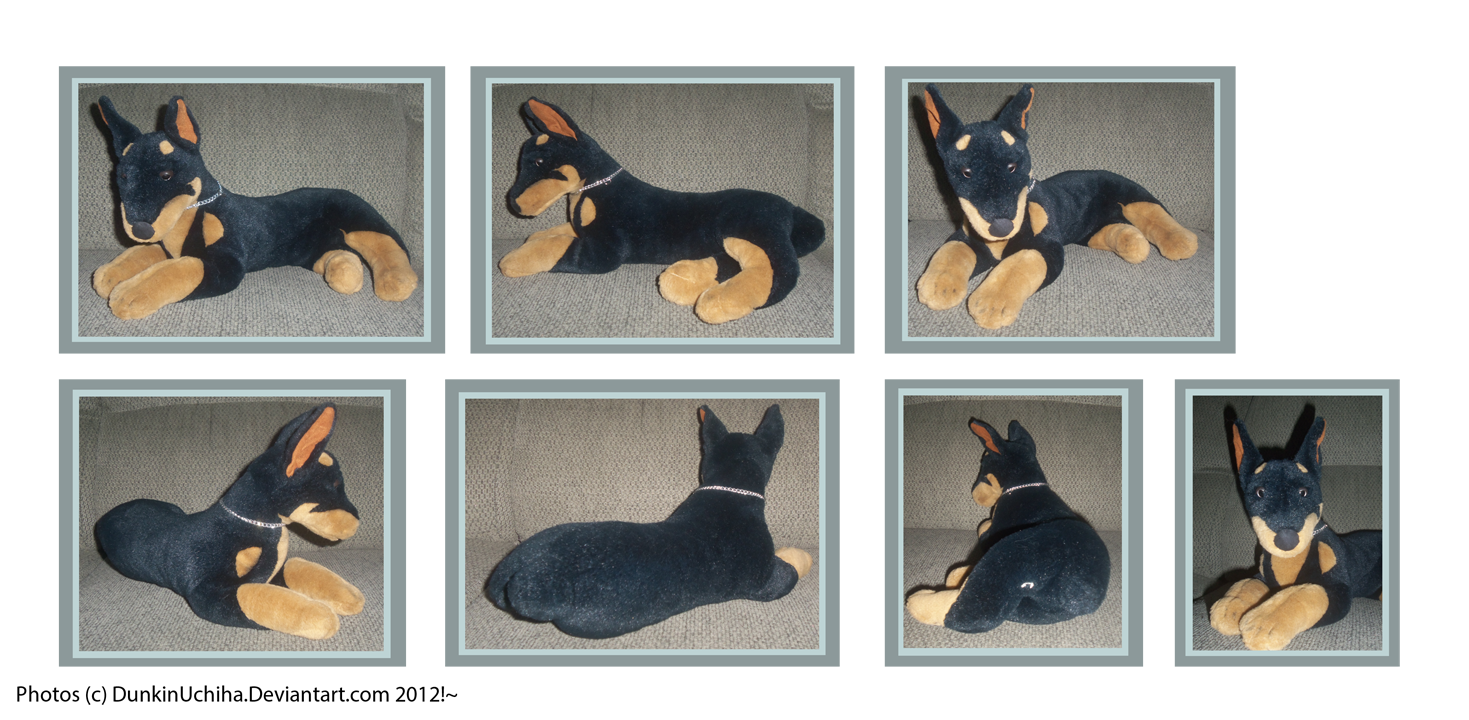 .: Doberman Plush :.