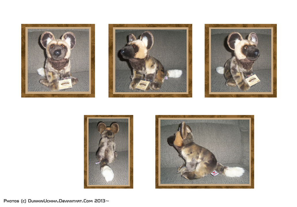 Webkinz Signature African WildDog . by BeachBumDunkin on DeviantArt