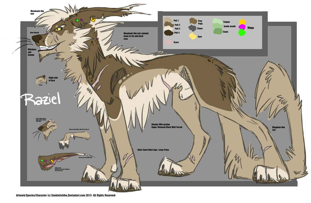 - Raziel: Alt Fursona- 2013 Ref -