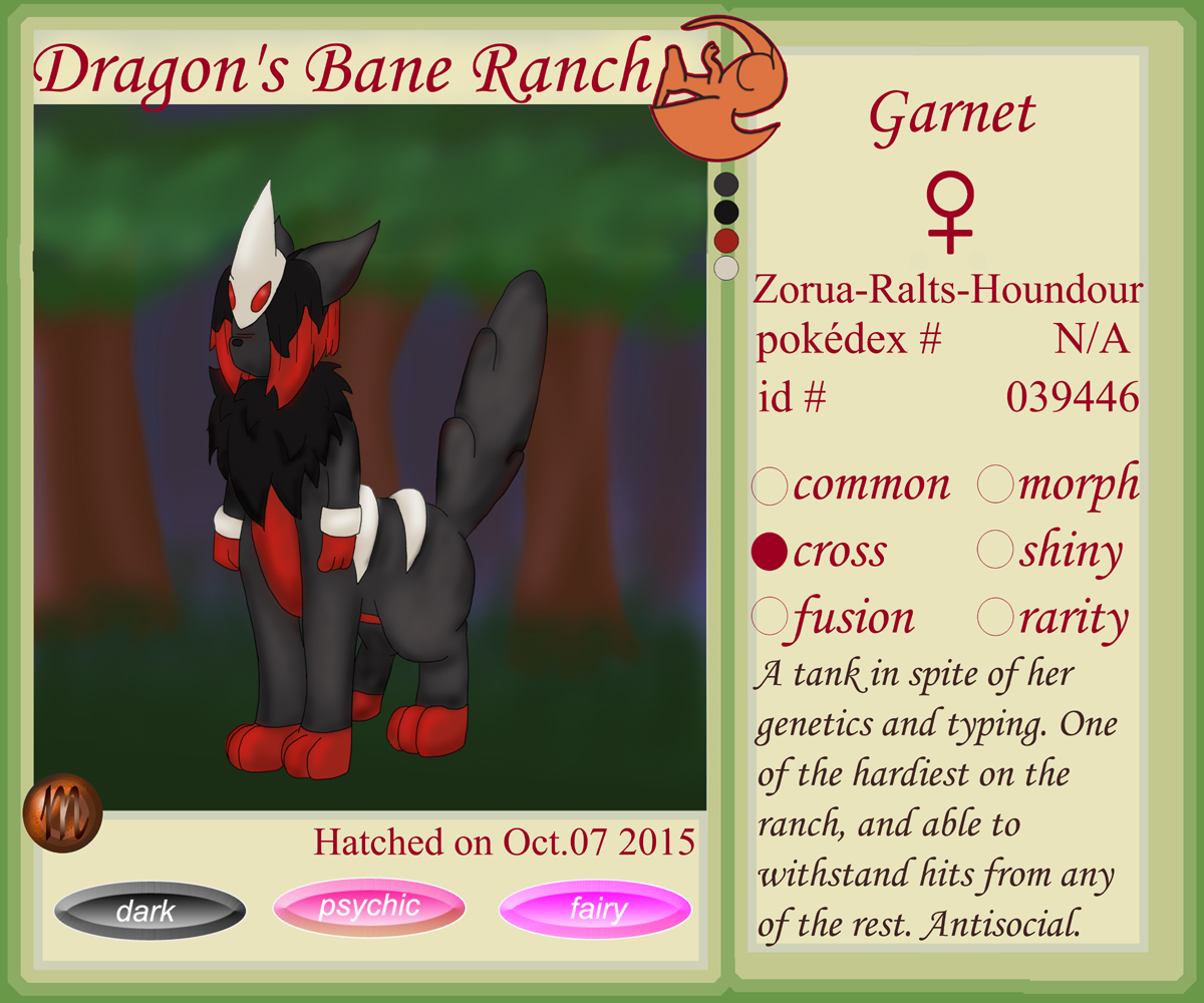 PKMN: Garnet - LVL.45