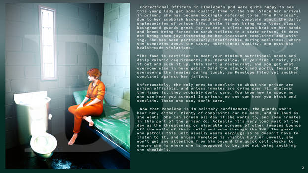 90 Days In Solitary Confinement Preview Page