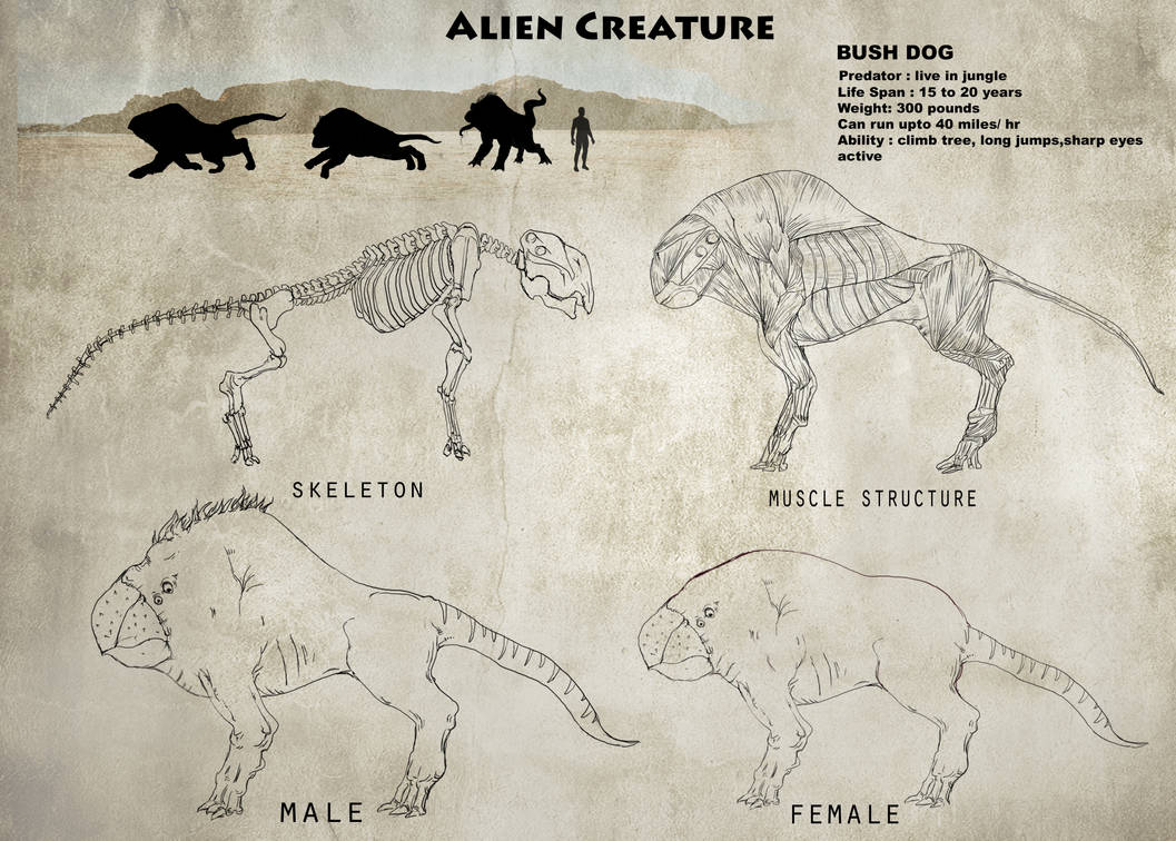Alien Creature Design Anatomy by vicky3 on DeviantArt
