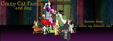 My Crazy Cat Family