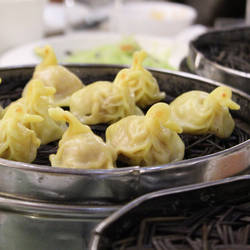 Duck Dumplings