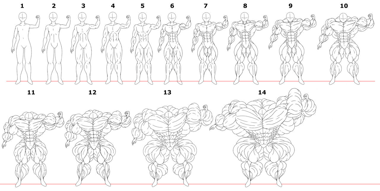 Muscle Growth Chart: V2 by babermirza on DeviantArt