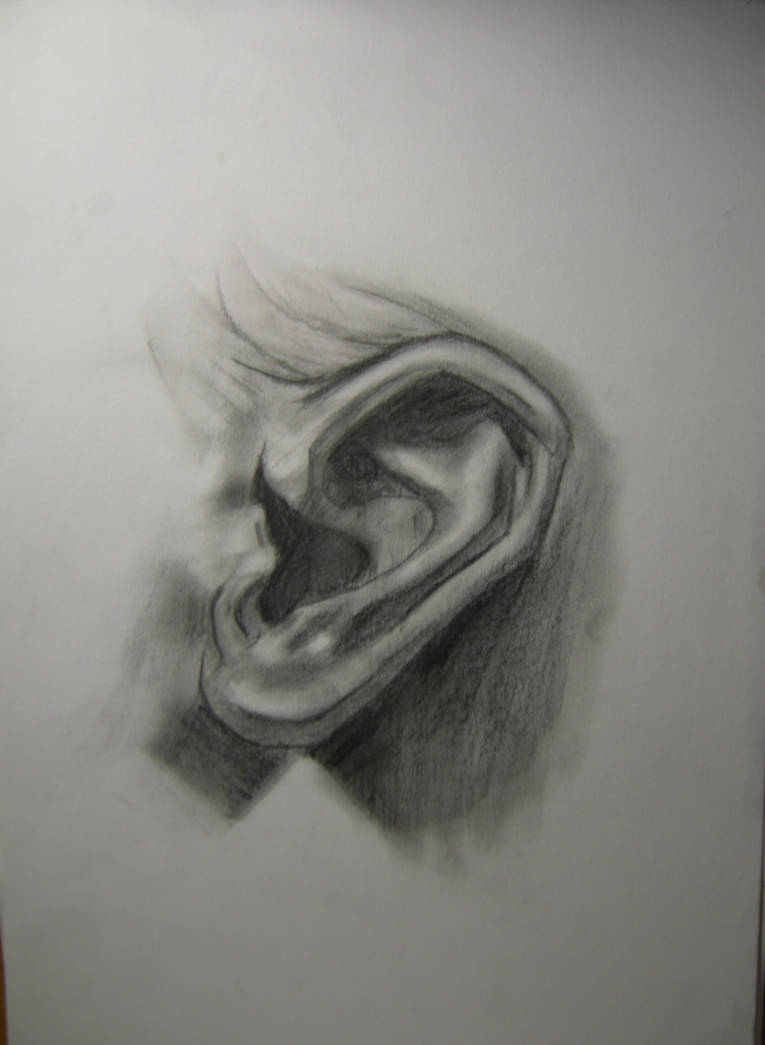 Ear tutorial by marmosk on DeviantArt