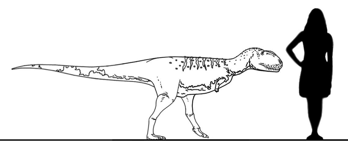 Stem-Bird Files: Rugops by randomdinos
