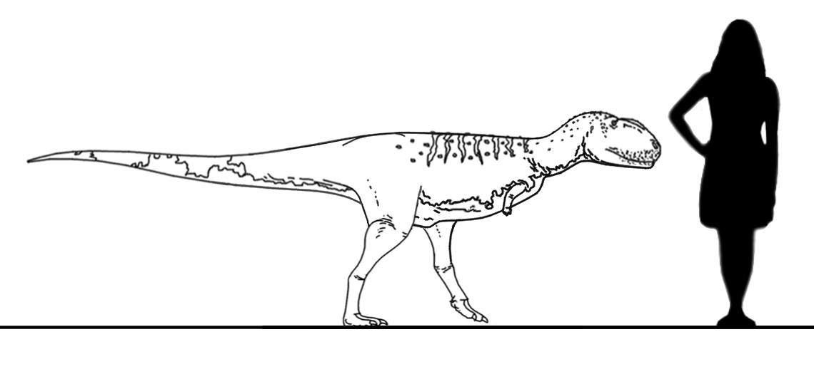 Stem-Bird Files: Rugops