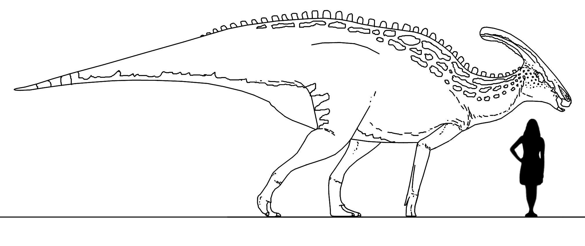 The Paleo Page - Deinocheirus then and now by Mario Lanzas