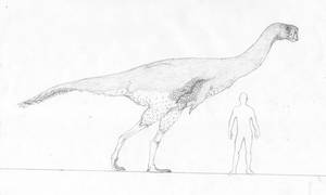 Stem-Bird Files: Giant Hell Creek oviraptorosaur