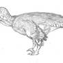 Dakotaraptor steini