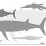 WWD - Oxford Clay (and Ornatenton) Formation