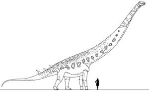 Stem-Bird Files: Fortaleza Dreadnaught