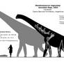 Mendozasaurus neguyelap schematic.