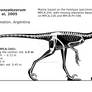 Buitreraptor gonzalezorum skeletal reconstruction.