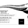 Tyrannosaurus rex skeletal reconstruction.