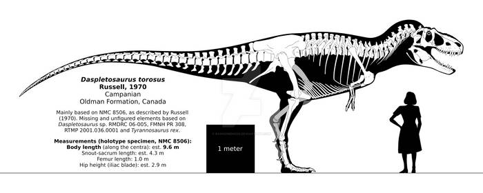 Daspletosaurus torosus skeletal reconstruction.