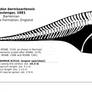 Iguanodon bernissartensis skeletal reconstruction.
