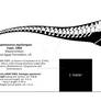 Dryptosaurus aquilunguis skeletal reconstruction.