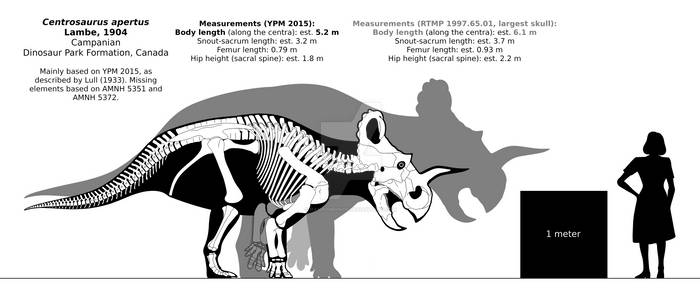 Centrosaurus apertus skeletal reconstruction.