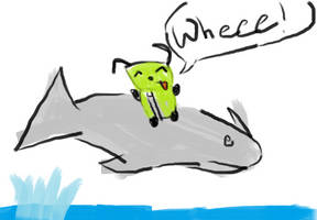 gir on a dolphin