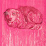 Pink dog