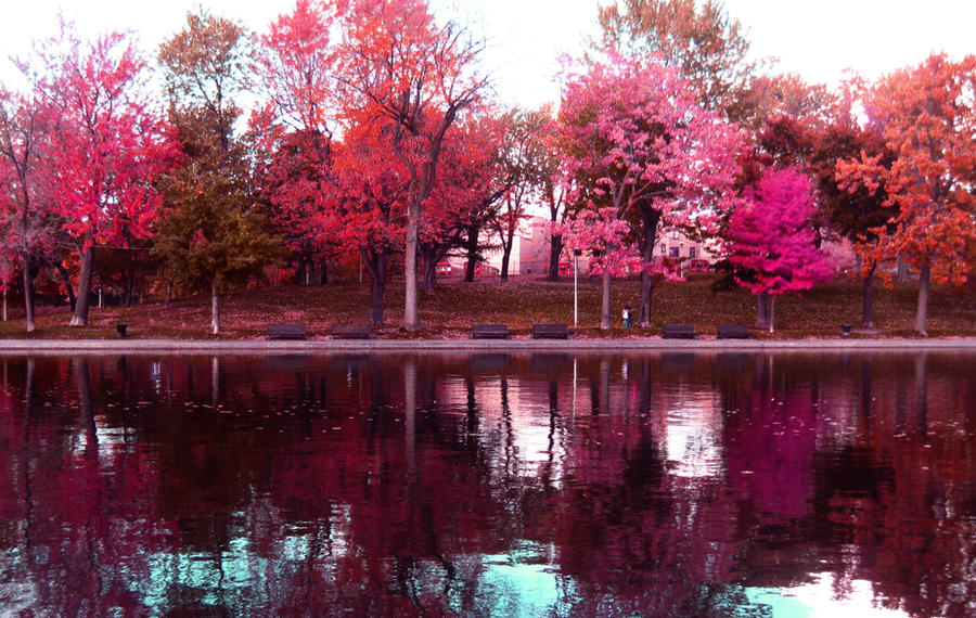 Pink Fall Colloge pink fall colours by rukyooko on DeviantArt