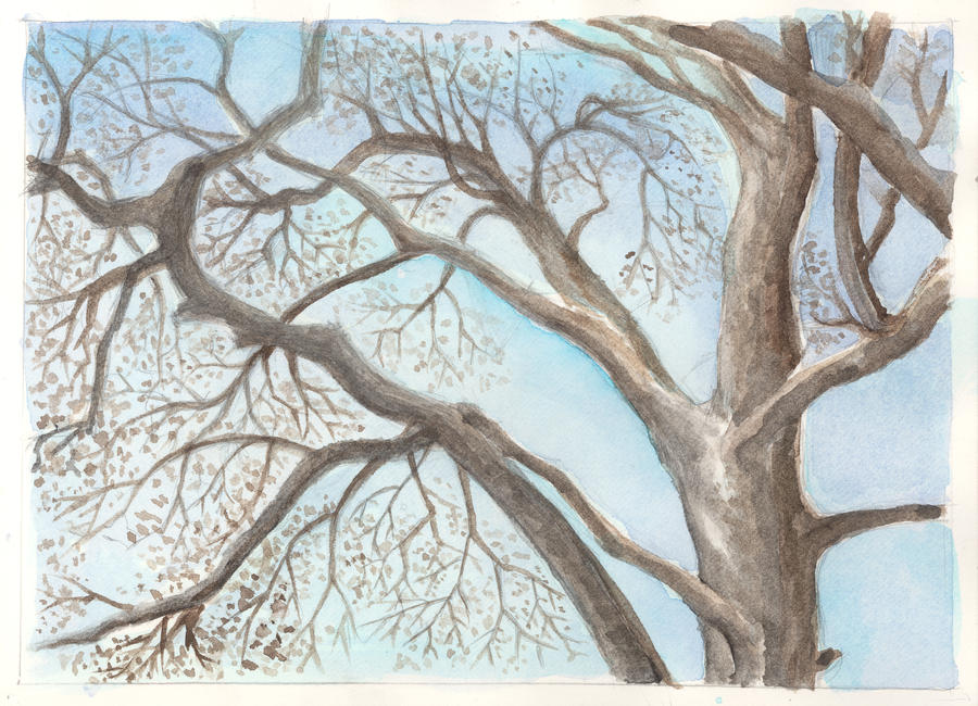 February 19 by KatyAmlie February 19 by KatyAmlie
