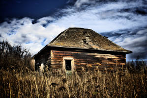 Old Cabin