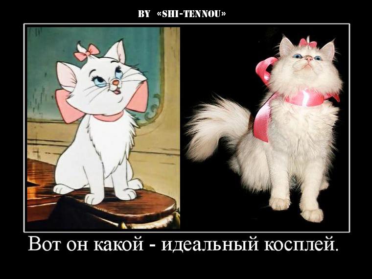 The Aristocats