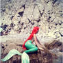 Ariel. The Little Mermaid