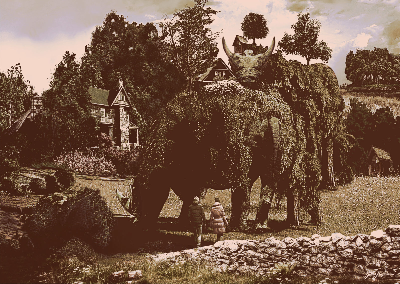 Corne D Abondance By Gilly2727 On Deviantart Corne D Abondance By Gilly2727 On Deviantart