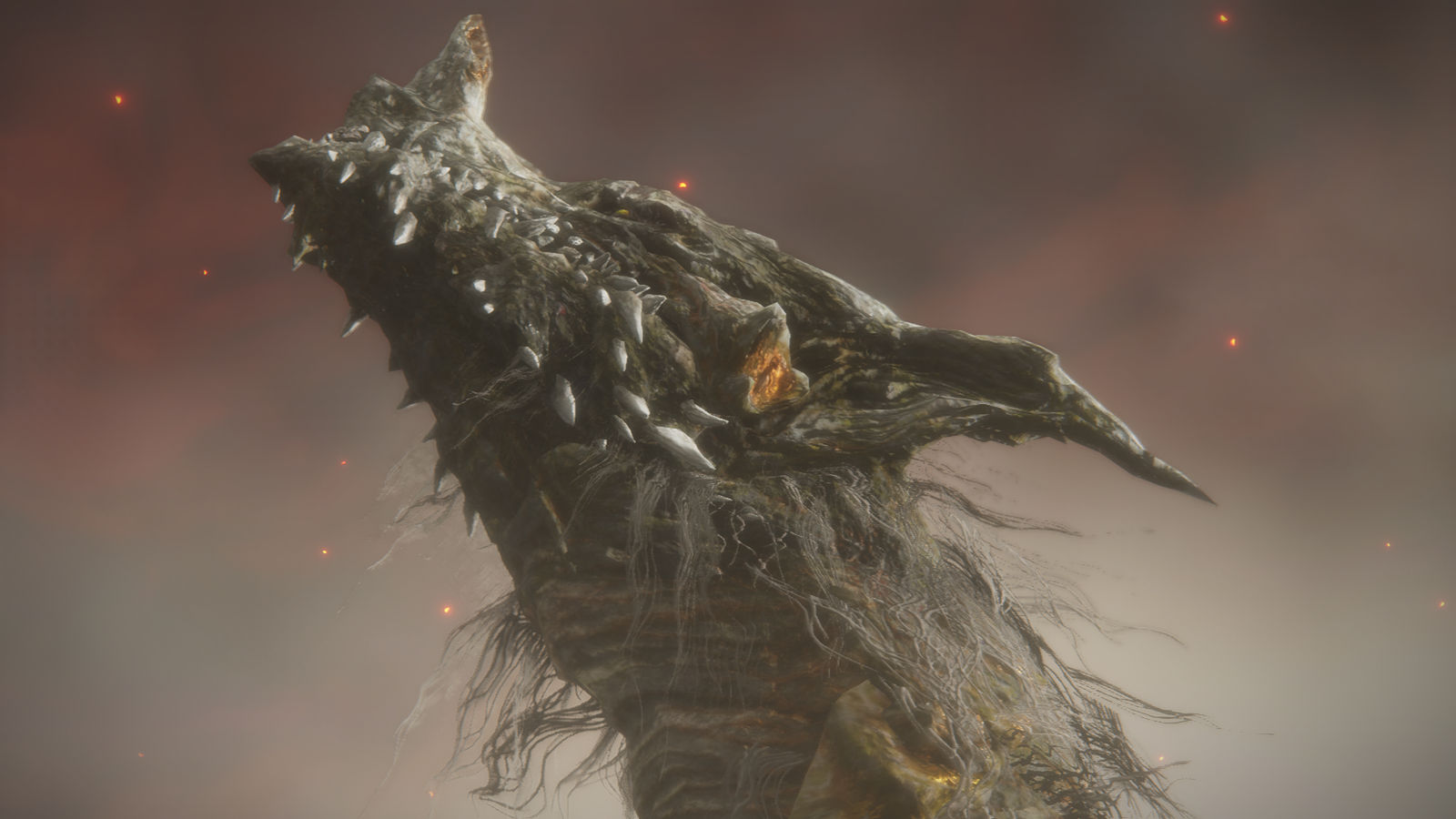 Dragonlord Placidusax by PrimalElf1512 on DeviantArt